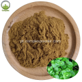 Melhor qualidade Centella Powder Asiatica Extract